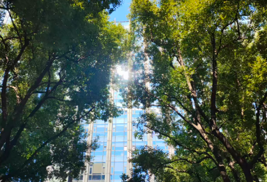 中科曙光：开放算力，夯实中国大模型Token出海底气