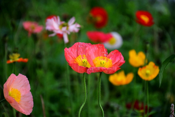 近年高阻隔包装工艺类专利梳理第二期