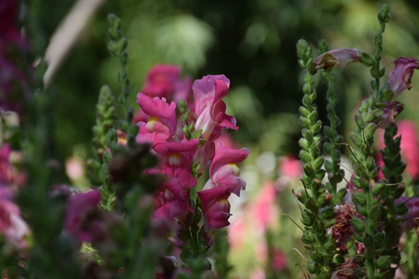 赢创扩大羟基封端聚丁二烯（HTPB）全球产能