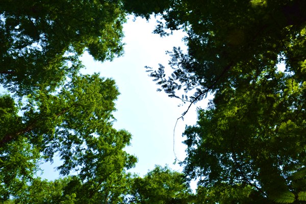 欧盟《包装和包装废弃物法规》（EU)2025/40指南（三）