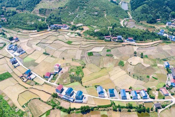 河北快递行业深入学习宣贯党的二十届四中全会精神