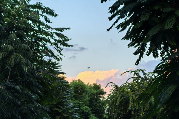 甘肃省委书记对省邮政业“十五五”规划编制工作作出指示