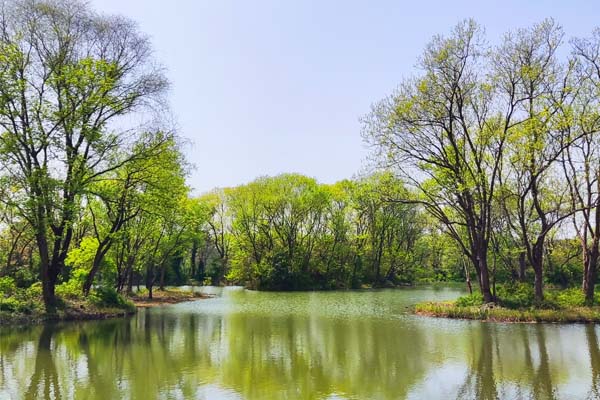 浙江省副省长批示肯定省邮政工作 希望作出新的更大贡献