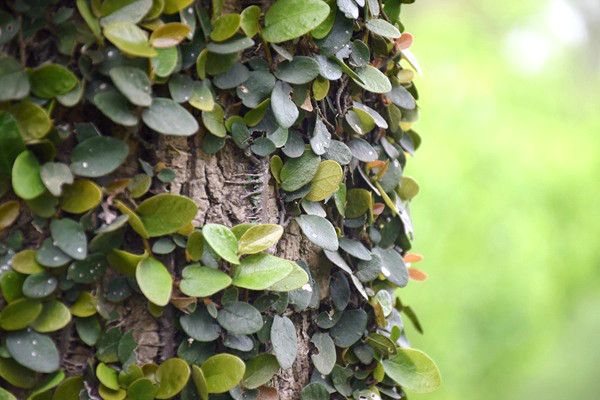 黑龙江局联合团省委统筹抓实“快递从业青年服务月”服务保障