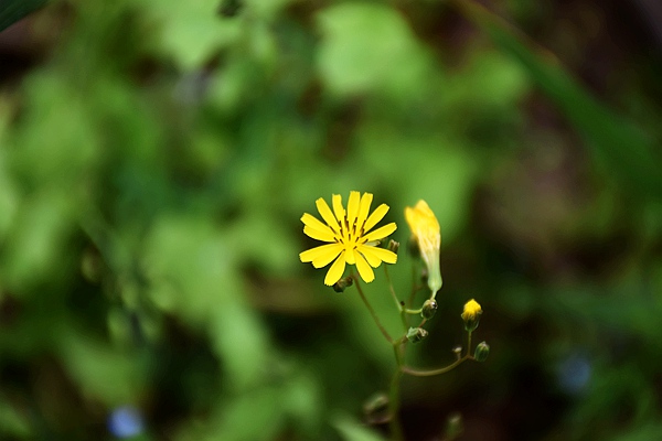 海南局召开一季度新闻通气会