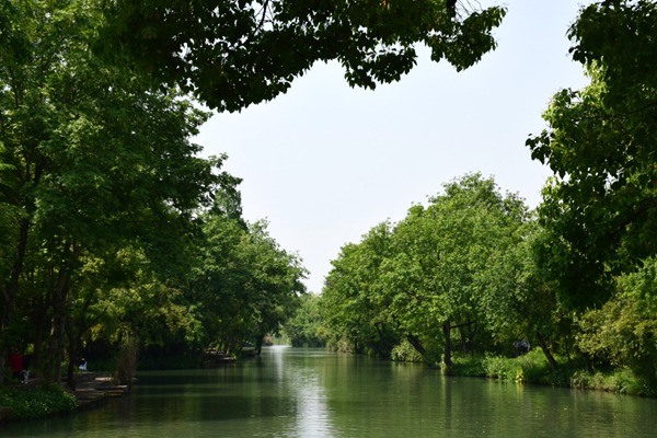 行业多项工作被纳入重庆“十五五”规划纲要