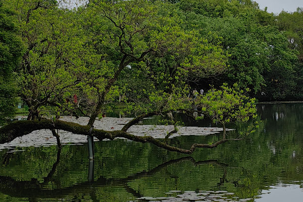 宁夏各市局扎实推进树立和践行正确政绩观学习教育