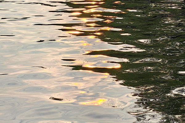 河南局赴平顶山调研客货邮融合发展质效并督导安全生产