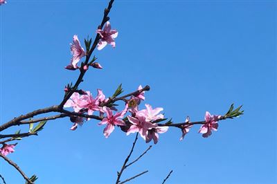 寄递物流体系建设被纳入淮北市2026年民生实事安排方案