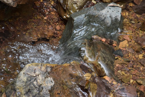 安踏集团获全球行业首家创新管理体系双认证 以体系化创新引领行业高质量发展