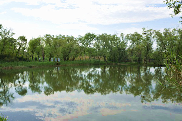 红豆集团攻坚发展先锋丨沈晞英：斩荆开拓，拼出“量稳质升”外贸突围路