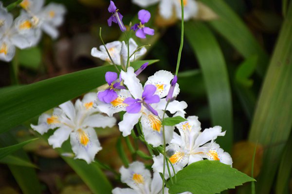 讲台练兵 精业笃行 | 天纺标公司聚焦实验室审核业务开展第十四期干部讲堂