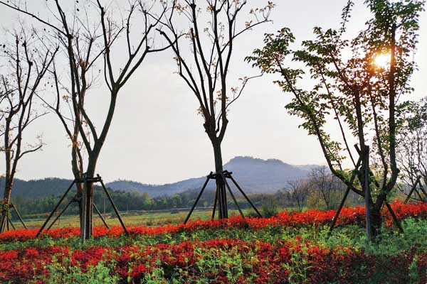 电商平台退货潮之下： 消费者与商家陷入博弈困局