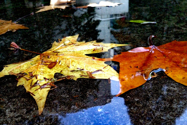 波司登高德康：以创新走好高质量发展之路