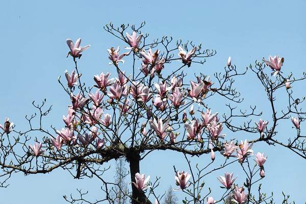 逐绿沙海！我国首个沙地柔性支架光伏项目并网发电